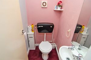 Photo 11- click for photo gallery